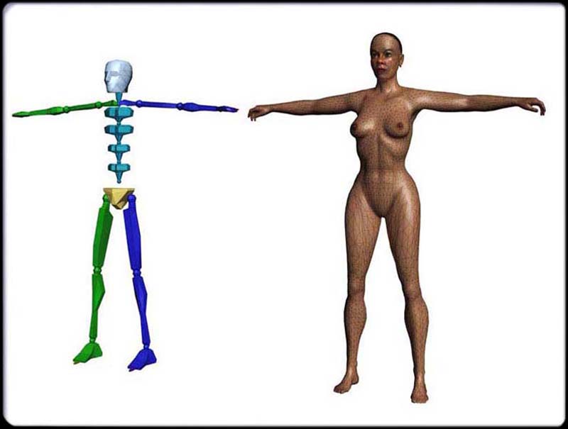 Woman and Bones Wire Composite