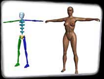 Woman and Bones Wire Composite