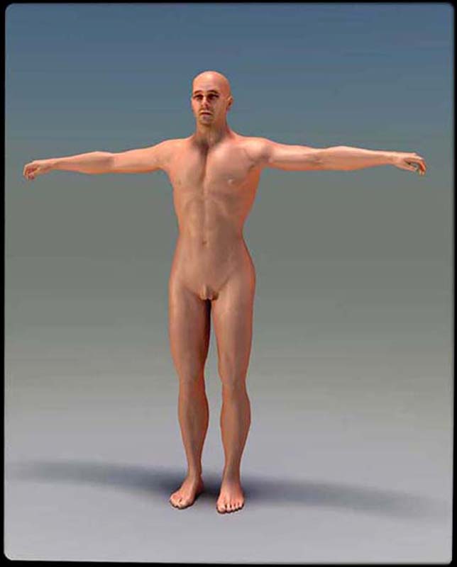 Male Figure